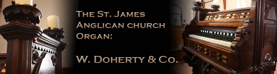 DohertyStJamesBanner.jpg